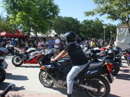 XVII Concentracion - 2010